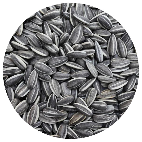 Striped Sunflower Seeds 1kg Conkers Pets