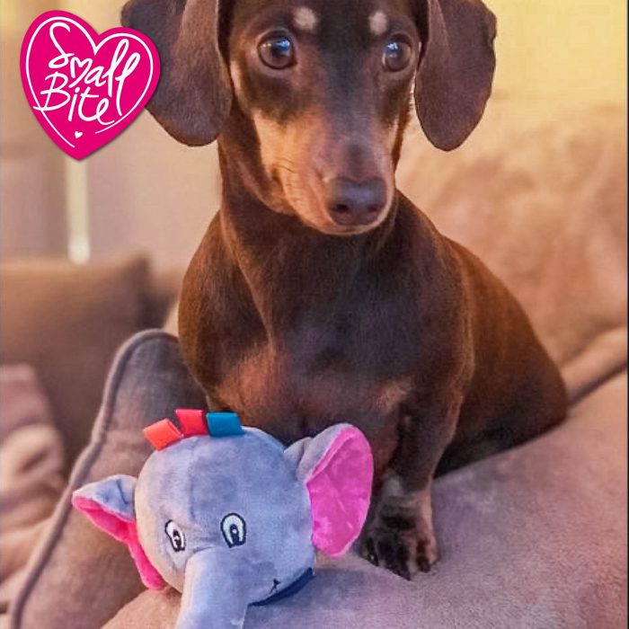 Ancol Small Bite Elephant Toy - Image 2