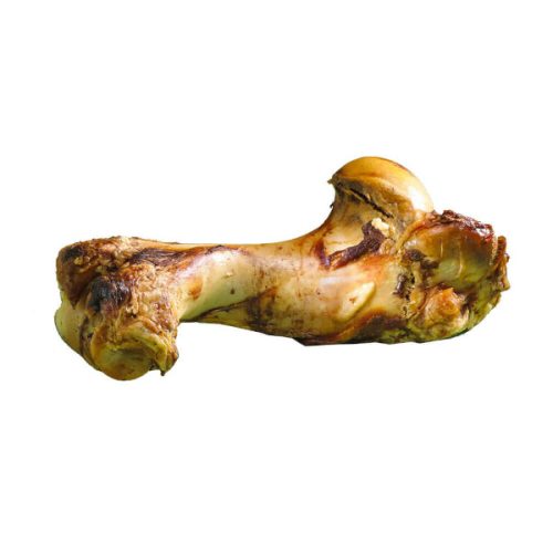 Postmans Leg (Jurassic) Roasted Bone