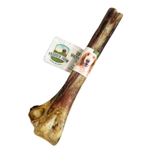 Paddock Farm Ostrich Metatarsus Bone