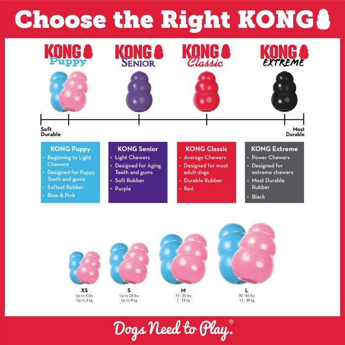 KONG Puppy Medium - Image 7