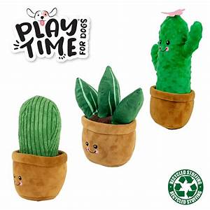 Ancol Cuddly Cactus 30cm