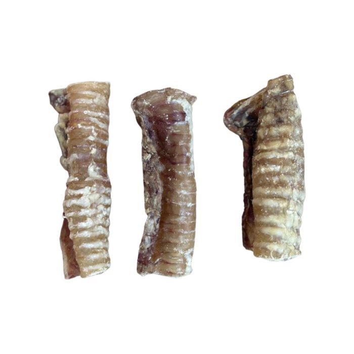 Beef Trachea