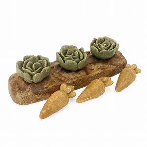 Rosewood Veggie Burst Salad Patch