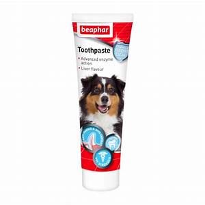 Beaphar Toothpaste 100g