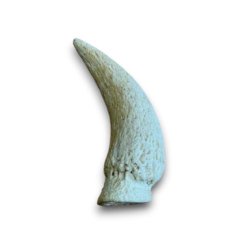 Anco Cow Horn Marrows