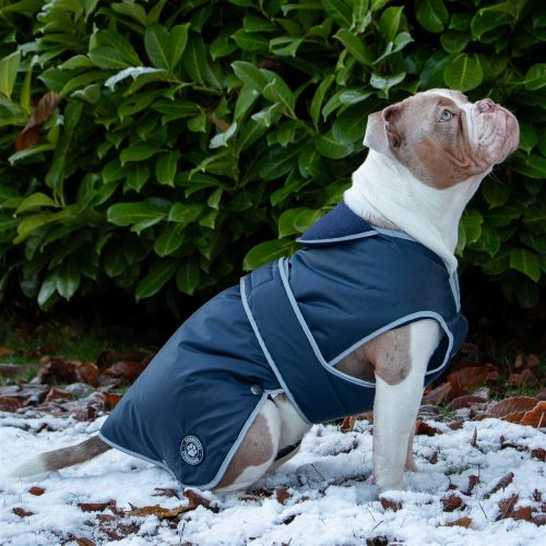 Ancol Stormguard Coat Navy Small 30cm