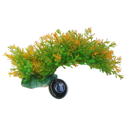 Betta Choice Bendy Branch Green/Yellow 9"